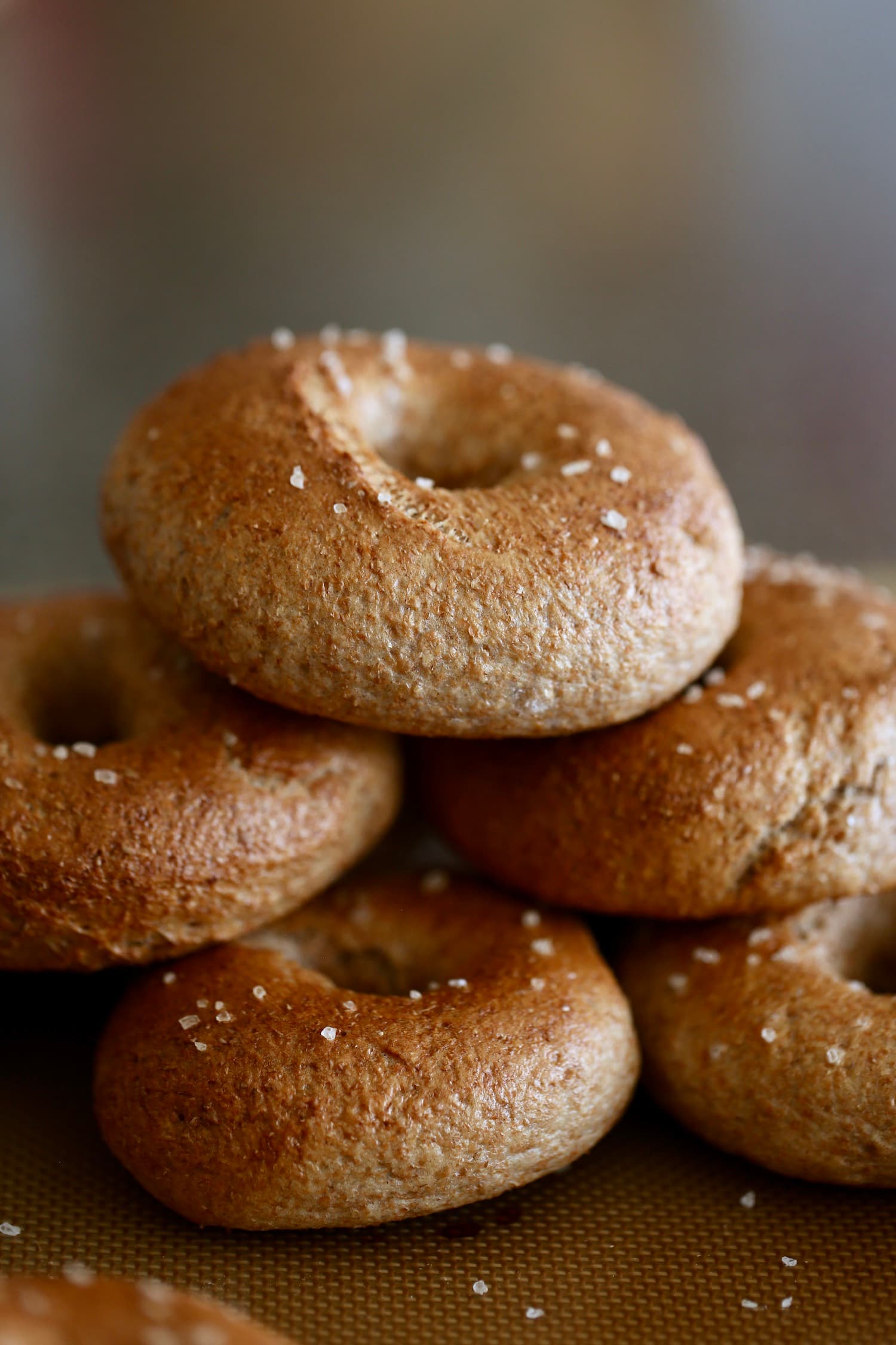 Whole Wheat Bagels